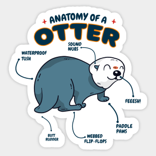 Anatomy Of An Otter Sticker